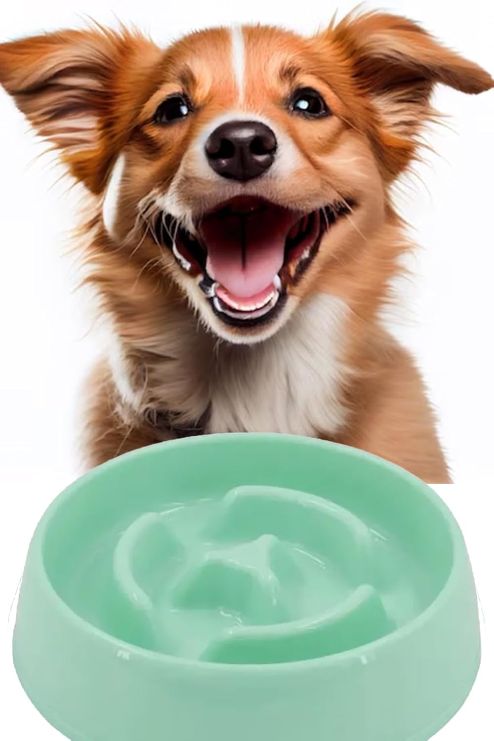 Mobee Evcil Hayvan Yavaş Mama Yeme Kabı Yavaş Besleyici Kedi Köpek Mama Kabı Orta Boy 375 ML 1450