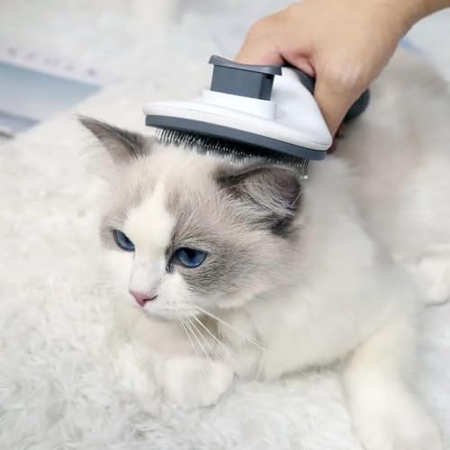 Orret Home Otomatik Temizlenen Kedi Köpek Tarağı