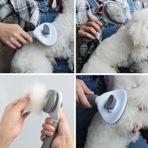 Orret Home Otomatik Temizlenen Kedi Köpek Tarağı