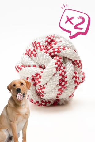 proud wave Köpek Oyuncağı 2 Adet Köpek Topu Eğitim Topu Stres İpten Top 9 cm Büyük