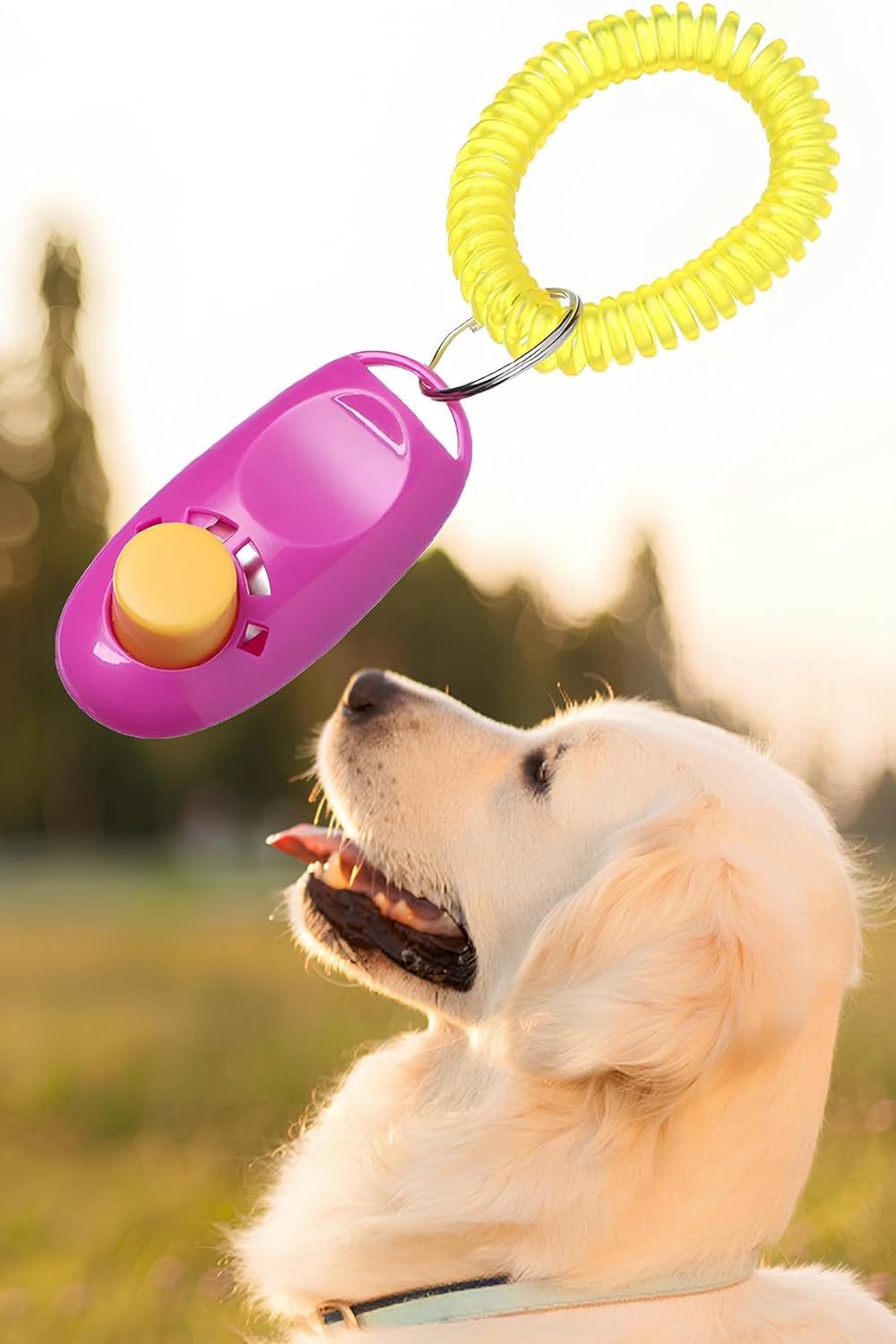 Mobee Köpek Eğitim Clicker Tasma Tuvalet Eğitimi İçin Kullanılabilir Köpek Eğitim Aparatı