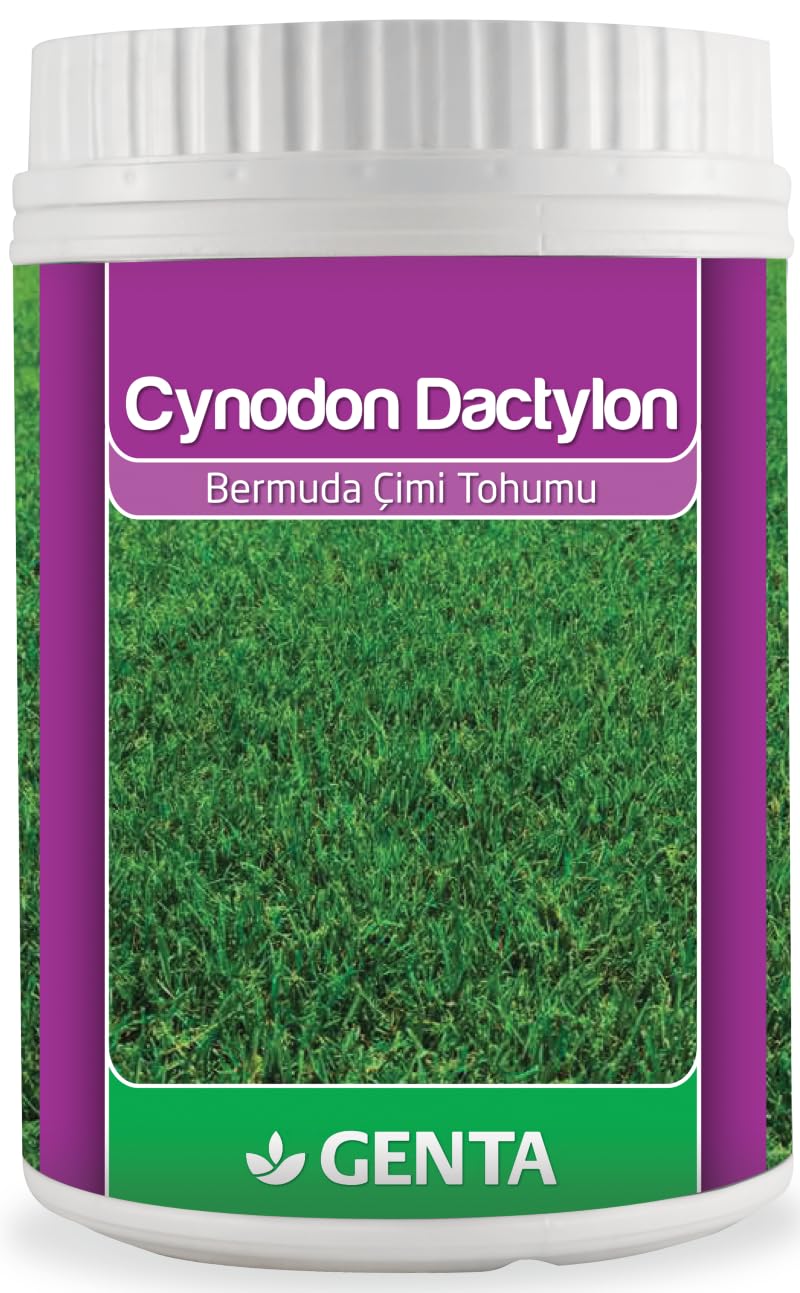 Genta Cynodon Dactylon Bermuda Çim Tohumu 500 Gr