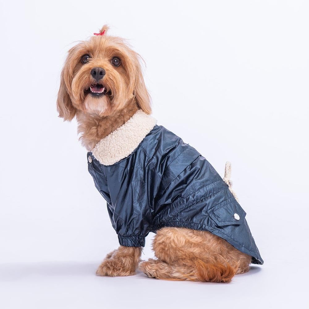 Pawstar Blue Brillante Su İtici Küçük Irk Köpek Yağmurluğu (XL)