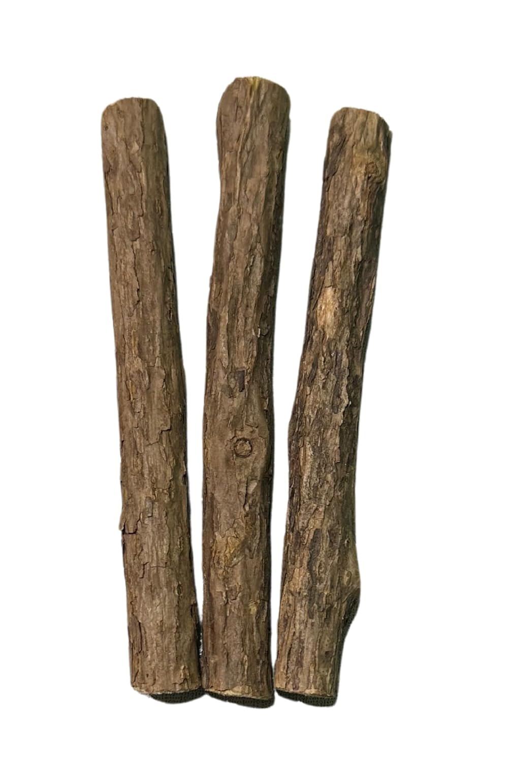 pawdaz Matatabi - Stick Diş Temizlemeye Ve Stres Gidermeye Yardımcı Doğal Oyuncak