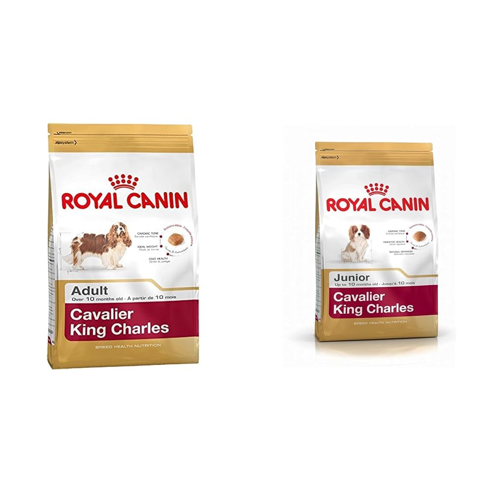 Royal Canin Cavalier King Charles Adult Köpek Maması, 1, 5 Kg & Royal Canin Cavalier King Charles Kuru Köpek Maması, Yavru Köpek, 1.5 Kg