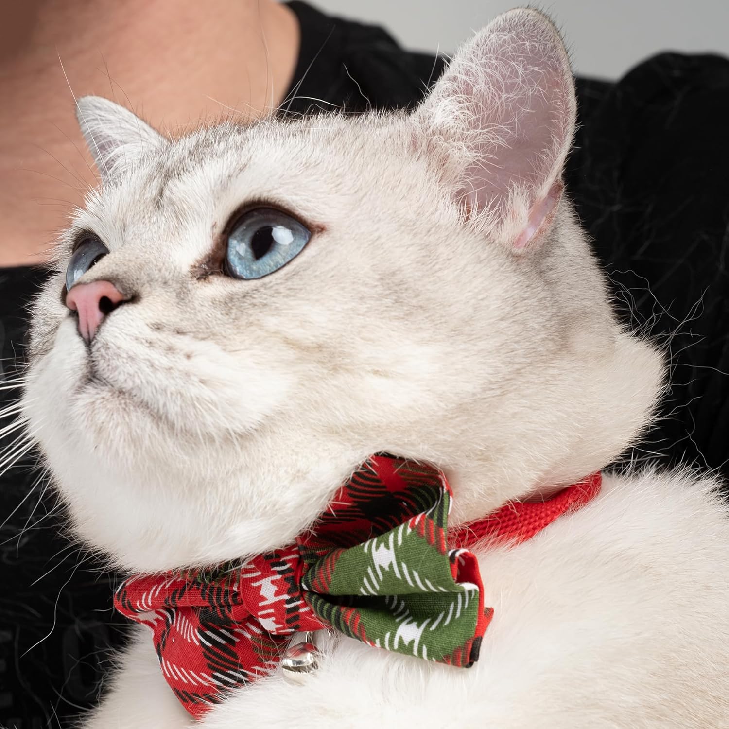 Patipatron Ayarlanabilir Yeni Yıl Papyonlu Kedi Tasması (ÇINÇINLI)