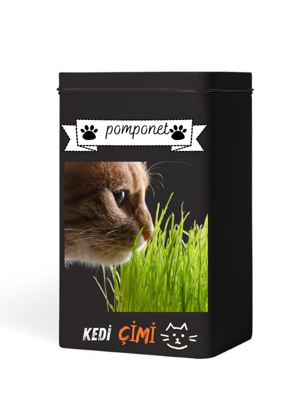 Evde Kolay Yetiştirme – Pomponet Kedi Çimi ile Yıl Boyu Yeşillik!