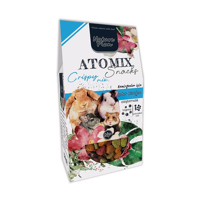 Nature Plan Atomix Snacks Çıtır Karışım 250 Gr