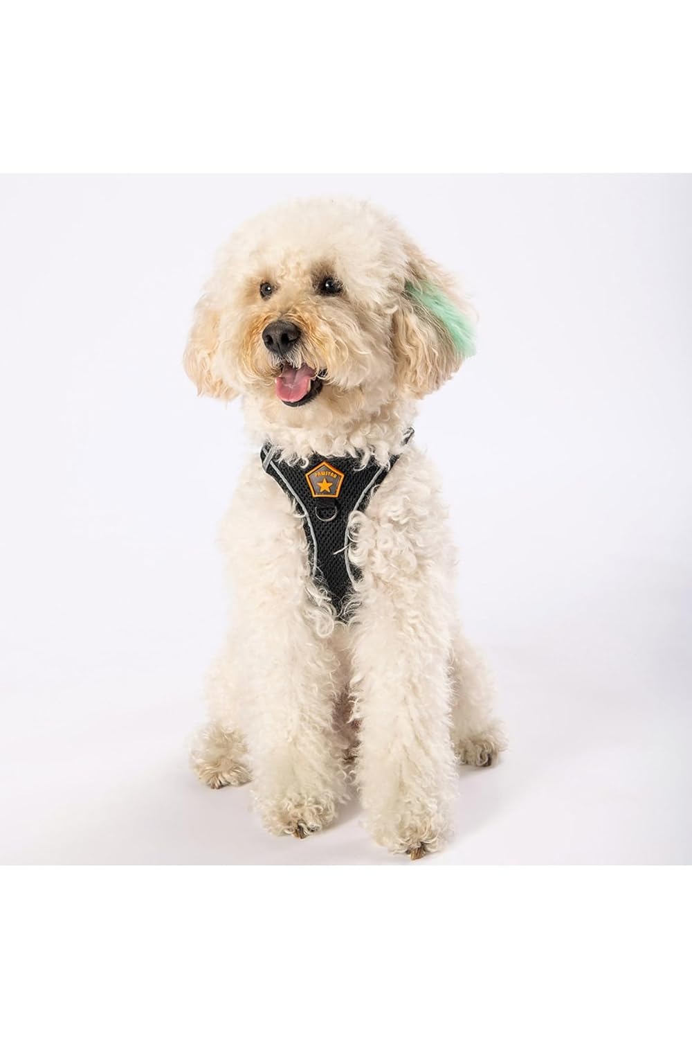 Pawstar Siyah Air-mesh Göğüs Tasması Kedi Köpek Göğüs Tasması Siyah 3XS