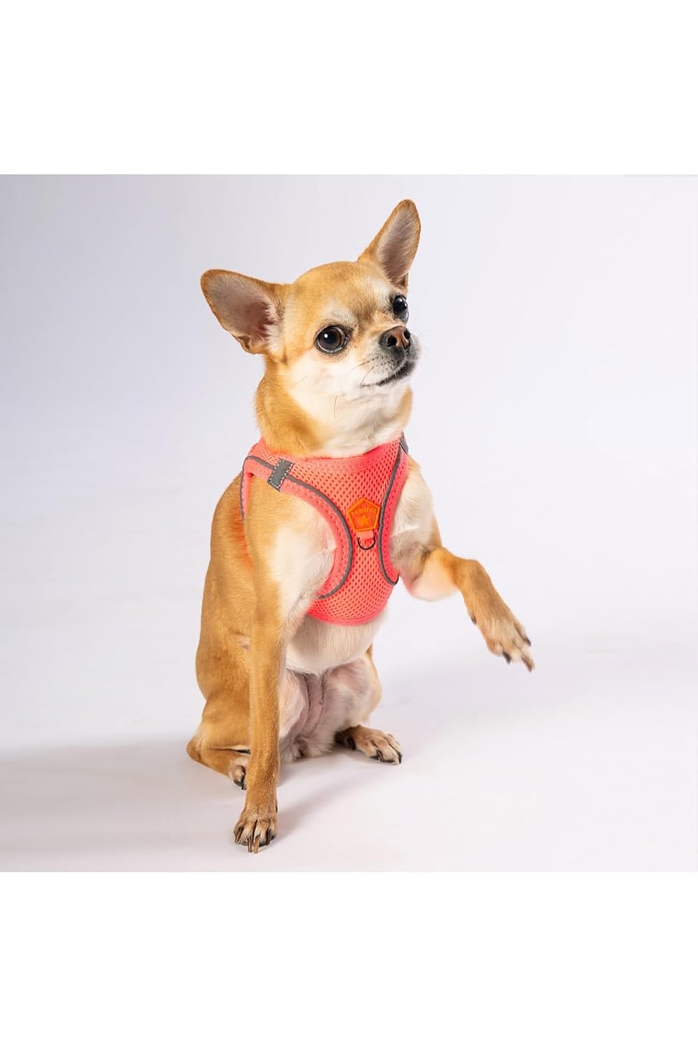Pawstar Neon Pembe Air-mesh Göğüs Tasması Kedi Köpek Göğüs Tasması Neon Pembe S