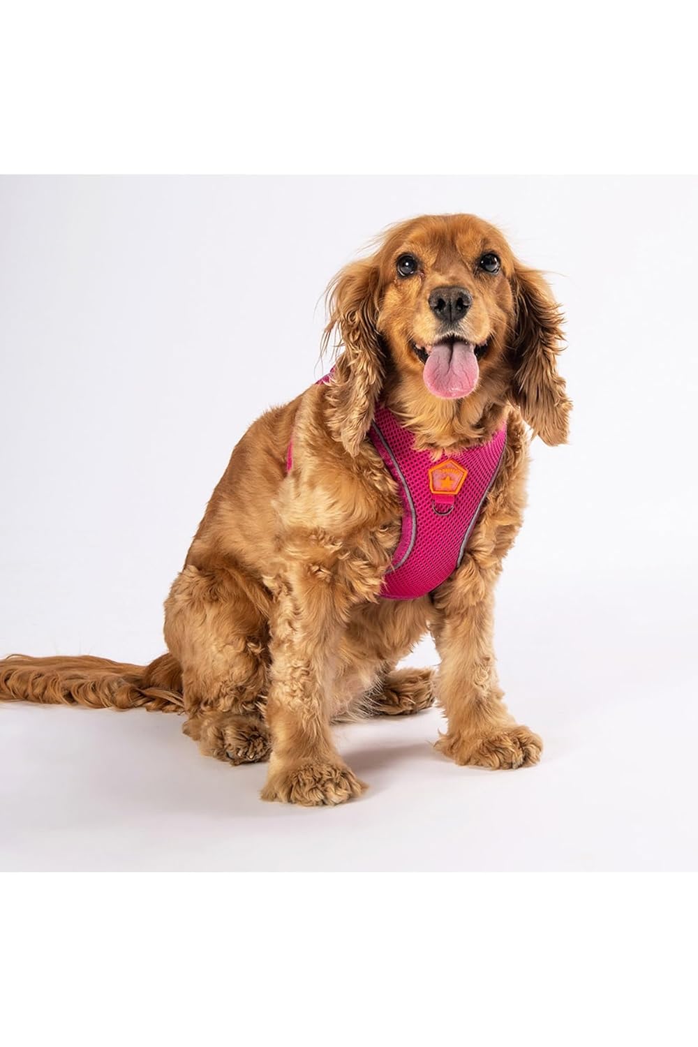 Pawstar Fuşya Air-mesh Göğüs Tasması Kedi Köpek Göğüs Tasması Fuşya 2XS