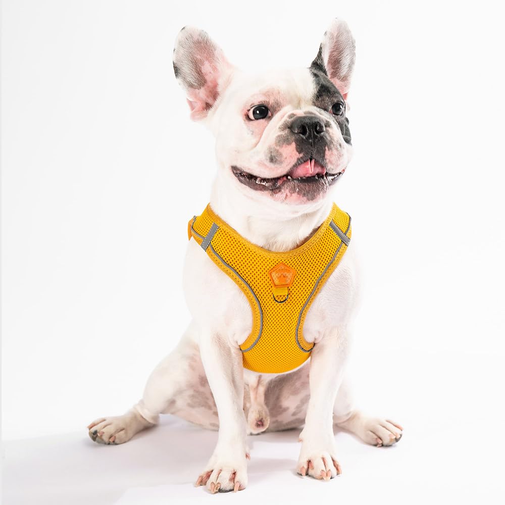 Pawstar Gold Air-mesh Göğüs Tasması Kedi Köpek Göğüs Tasması Gold 3XS