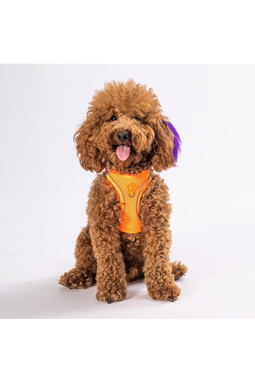 Pawstar Neon Turuncu Air-mesh Göğüs Tasması Kedi Köpek Göğüs Tasması Neon Turuncu XL