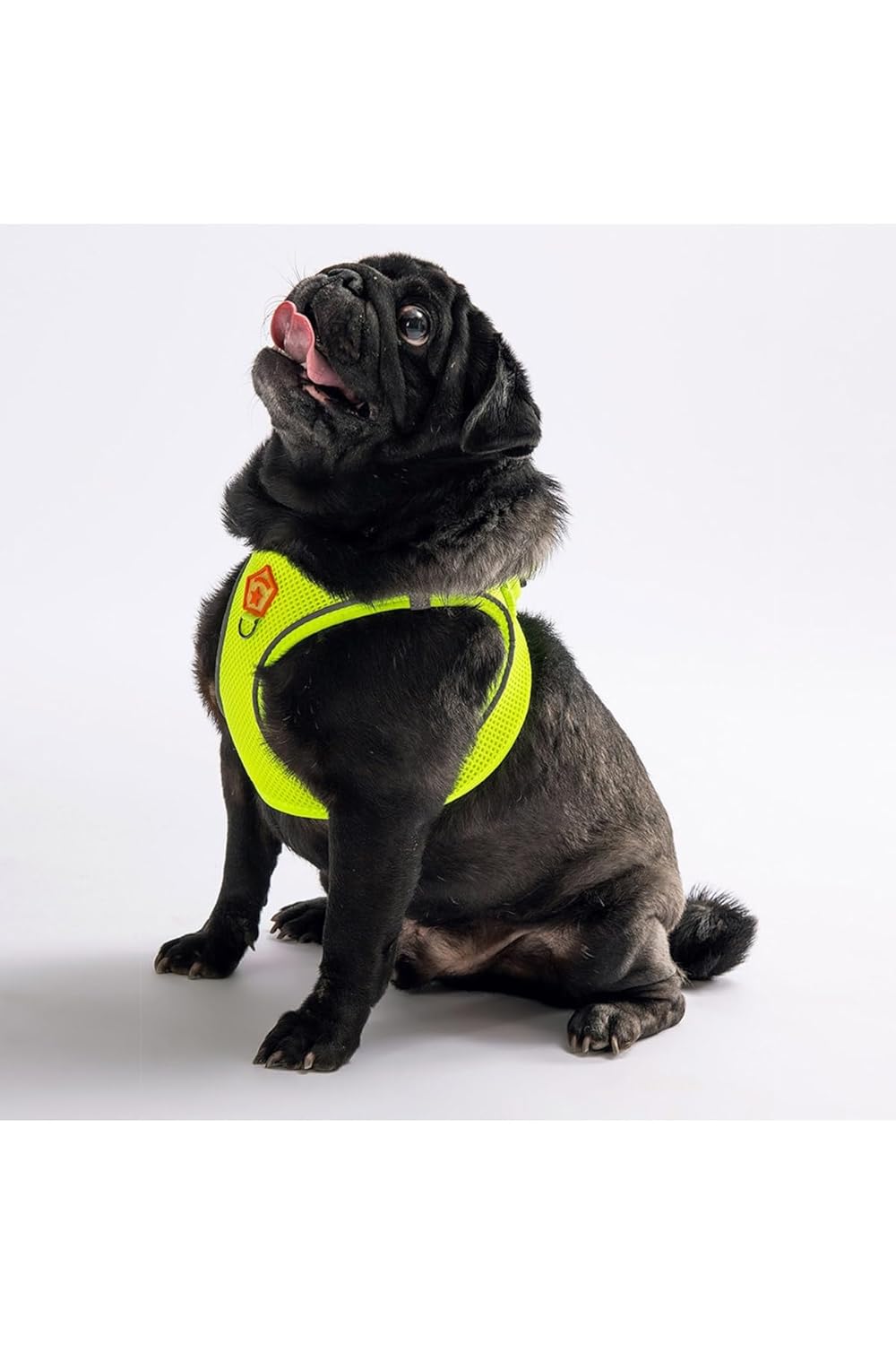 Pawstar Neon Sarı Air-mesh Göğüs Tasması Kedi Köpek Göğüs Tasması Neon Sarı XL
