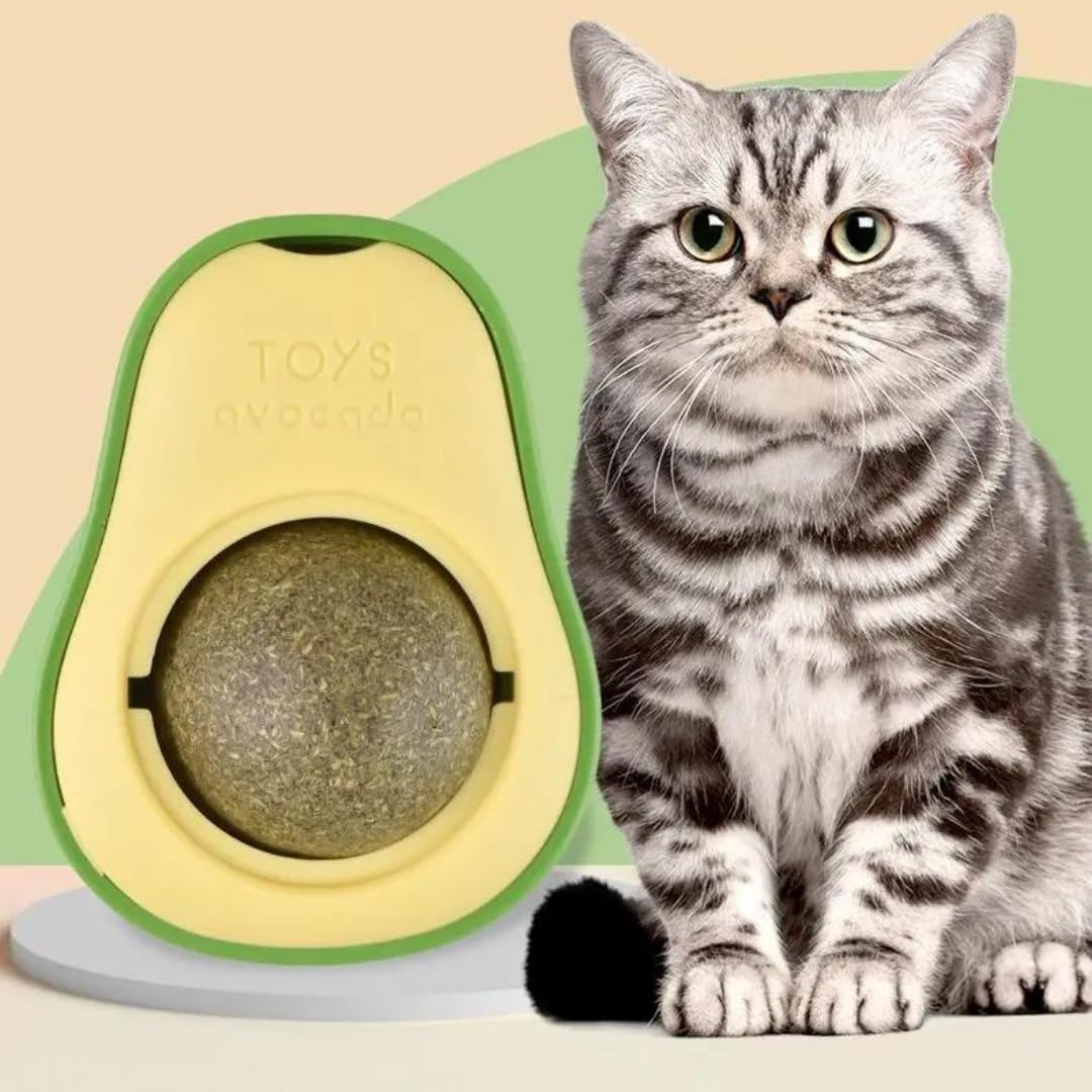 Jouis Avokado Kedi Nanesi Kedi Otu Topu Kedi Oyuncağı Yapışkanlı Catnip