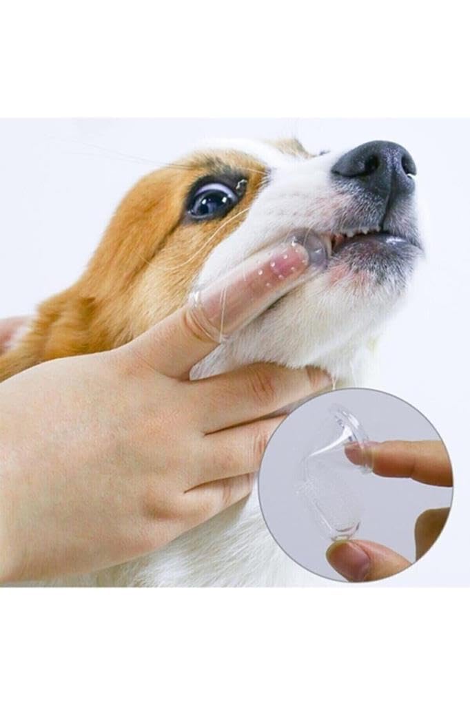 Optana Kedi Köpek Parmak Diş Fırçası Kutulu Evcil Hayvan Diş Fırçası