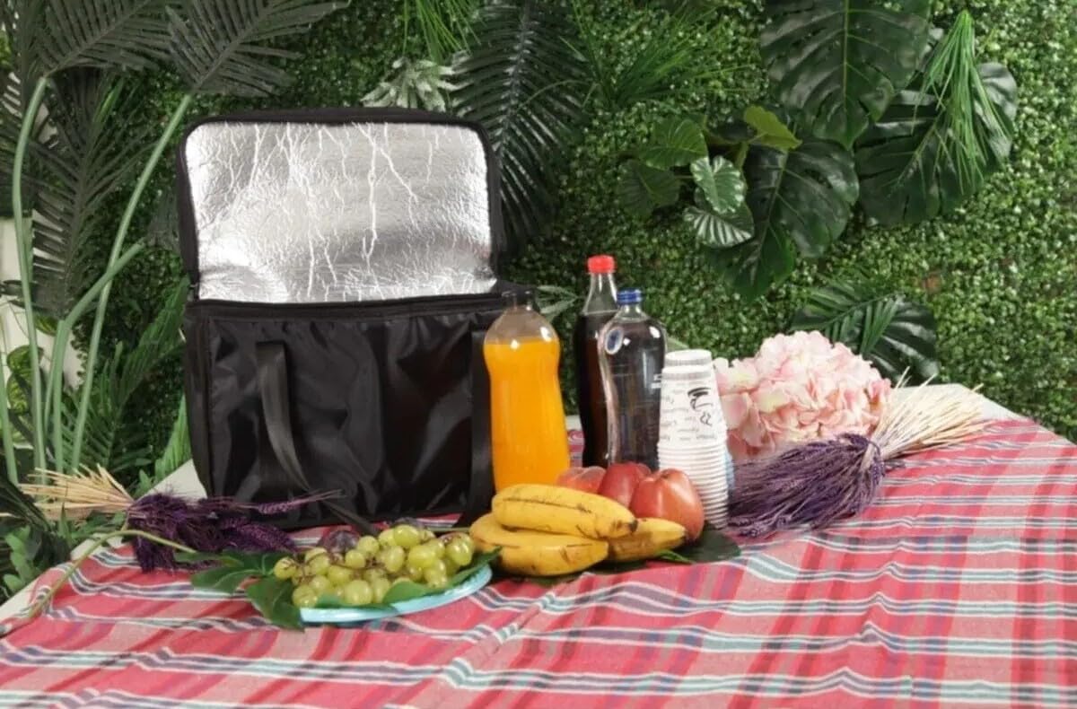 Escenay Sıcak Soğuk Tutucu Çanta Termal Kamp Piknik Plajda Paket Servis Çantası ölçüleri : 40 * 25 * 20 (siyah)