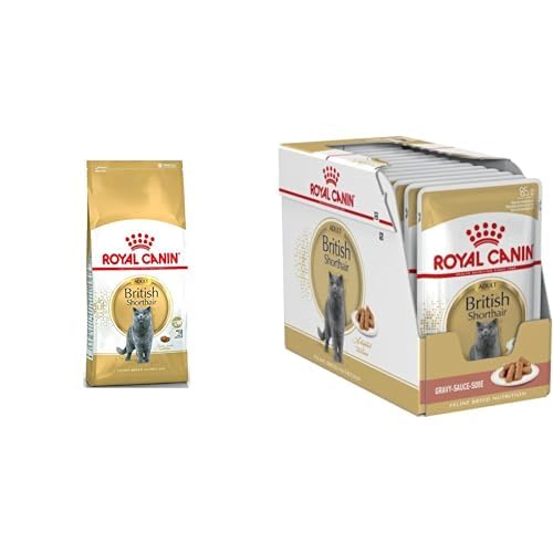 Royal Canin British Shorthair Yetişkin Kedi Maması 10 kg + 12 Adet Royal Canin British Shorthair Yaş Kedi Maması 85 gr