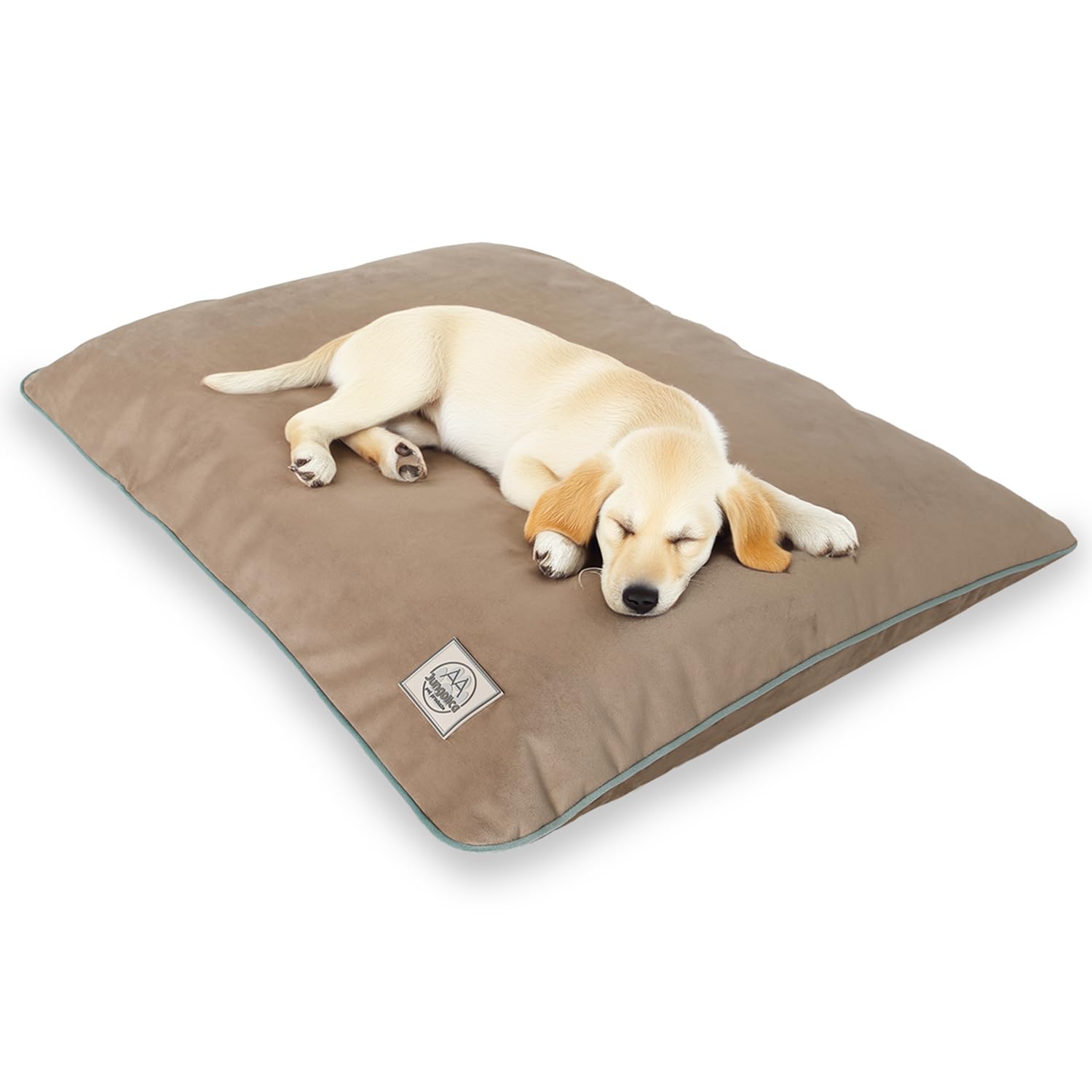 Jungolica Puppy Kedi ve Köpek Minderi 50x80 Bej - Tırmalamaya Dayanıklı, Tüy Tutmayan, Çıkarılabilir Kılıflı, Yumuşak ve Rahat Pet Minderi