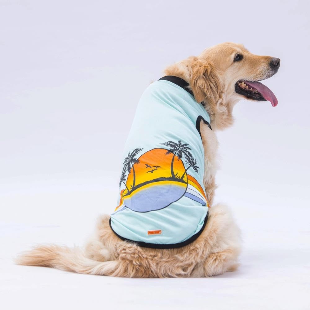 Pawstar Mint Sunrise Büyük Köpek Tişörtü - Köpek Kıyafeti (15 KG-45 KG) 5XL