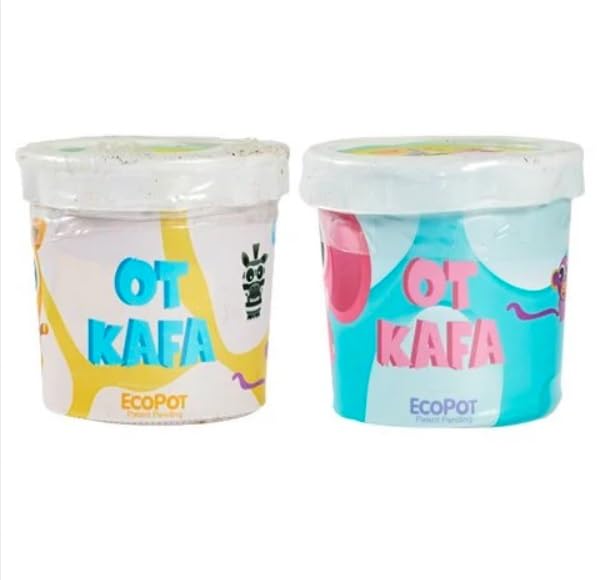 Outdoor Outlet Çocuk Hobi Bitkileri Ot Kafa Paketi (Asorti)