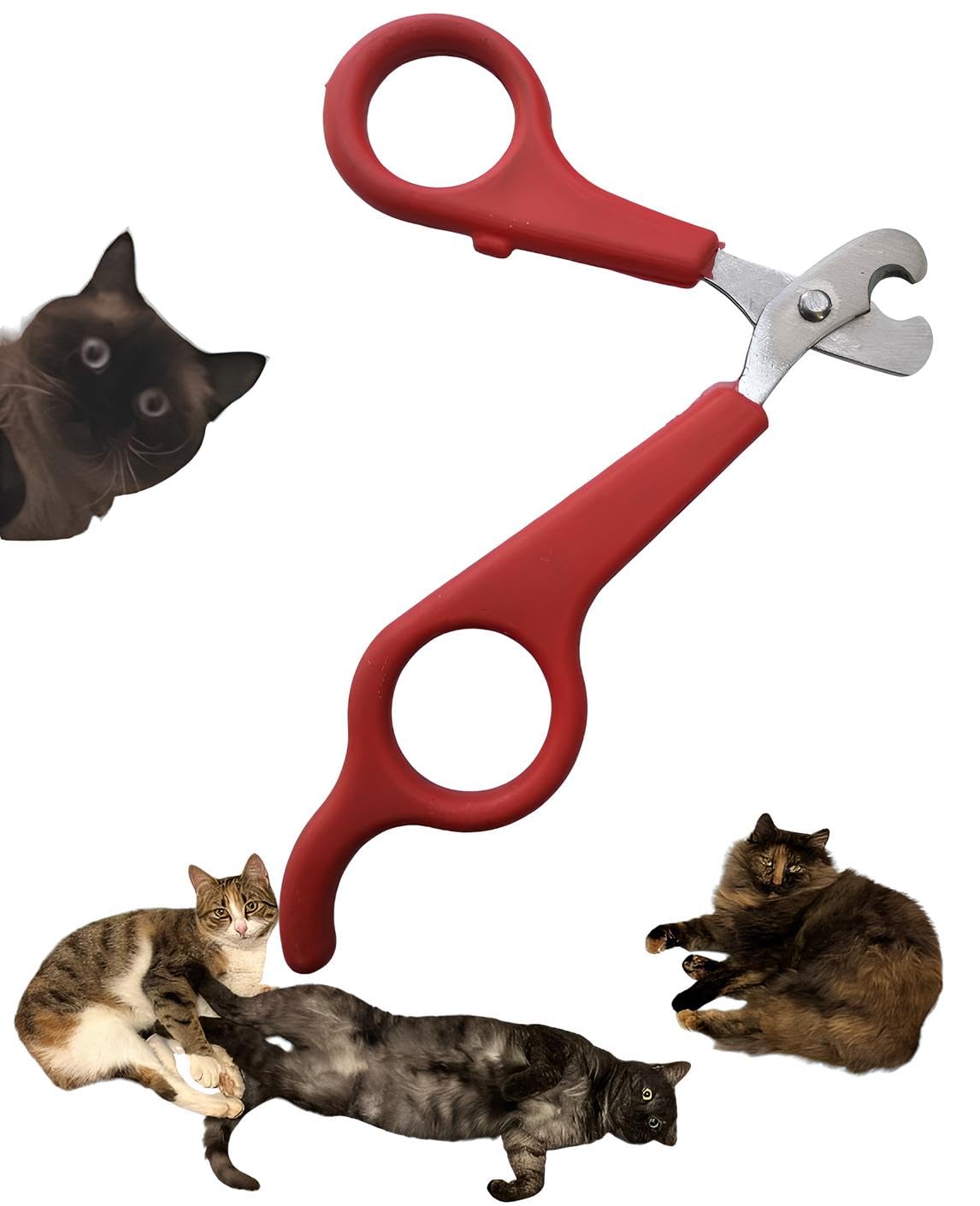 AEE® Kedi Tırnak Makası Çelik Ergonomik Tutuş Evcil Hayvan Köpek Tırnak Makası (Ömür Boyu Garantili)