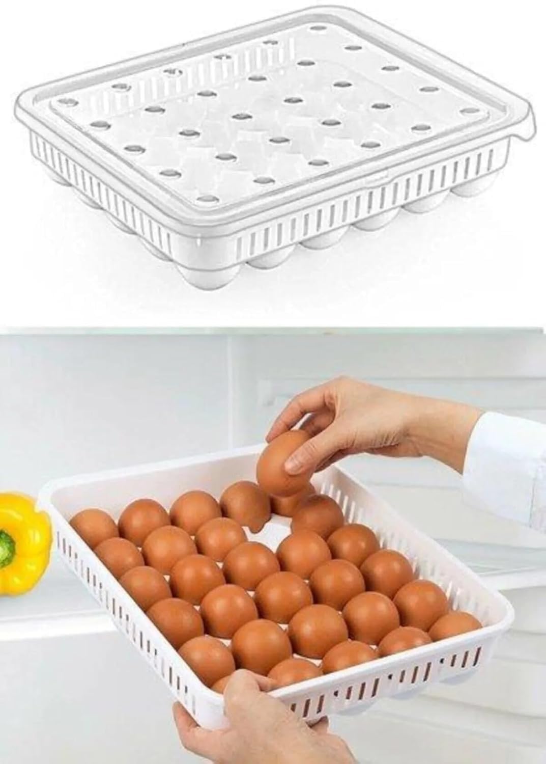 Arsimo 30'lu Kapaklı Yumurta Saklama Kabı, Akrilik Plastik Yumurtalık Organizer
