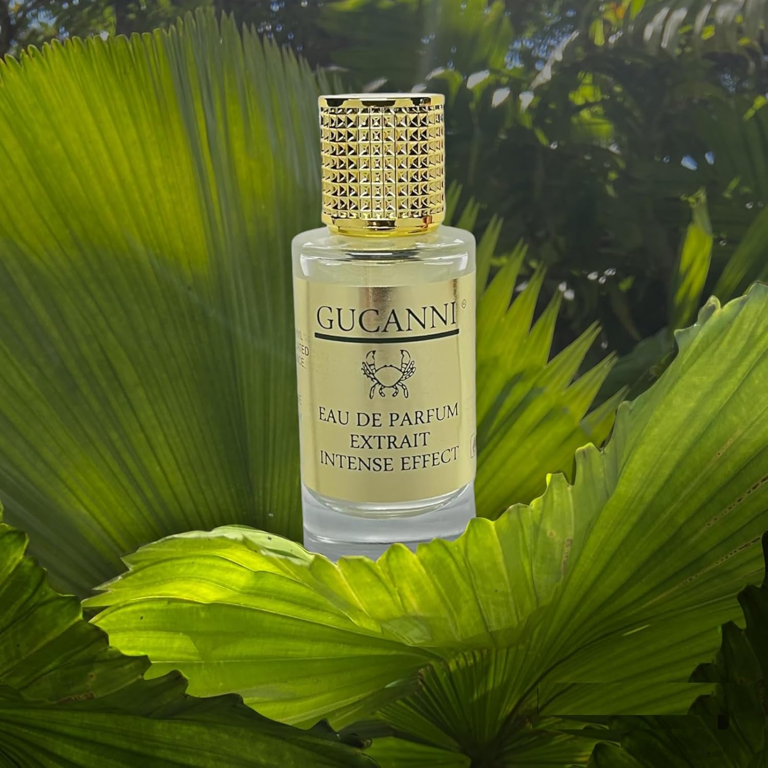 GUCANNI Terre'd Hermes 75ml Edp Erkek Parfüm Ultra Kalıcı (biz Daha Iyisini Yapana Kadar En Iyisi Bu)