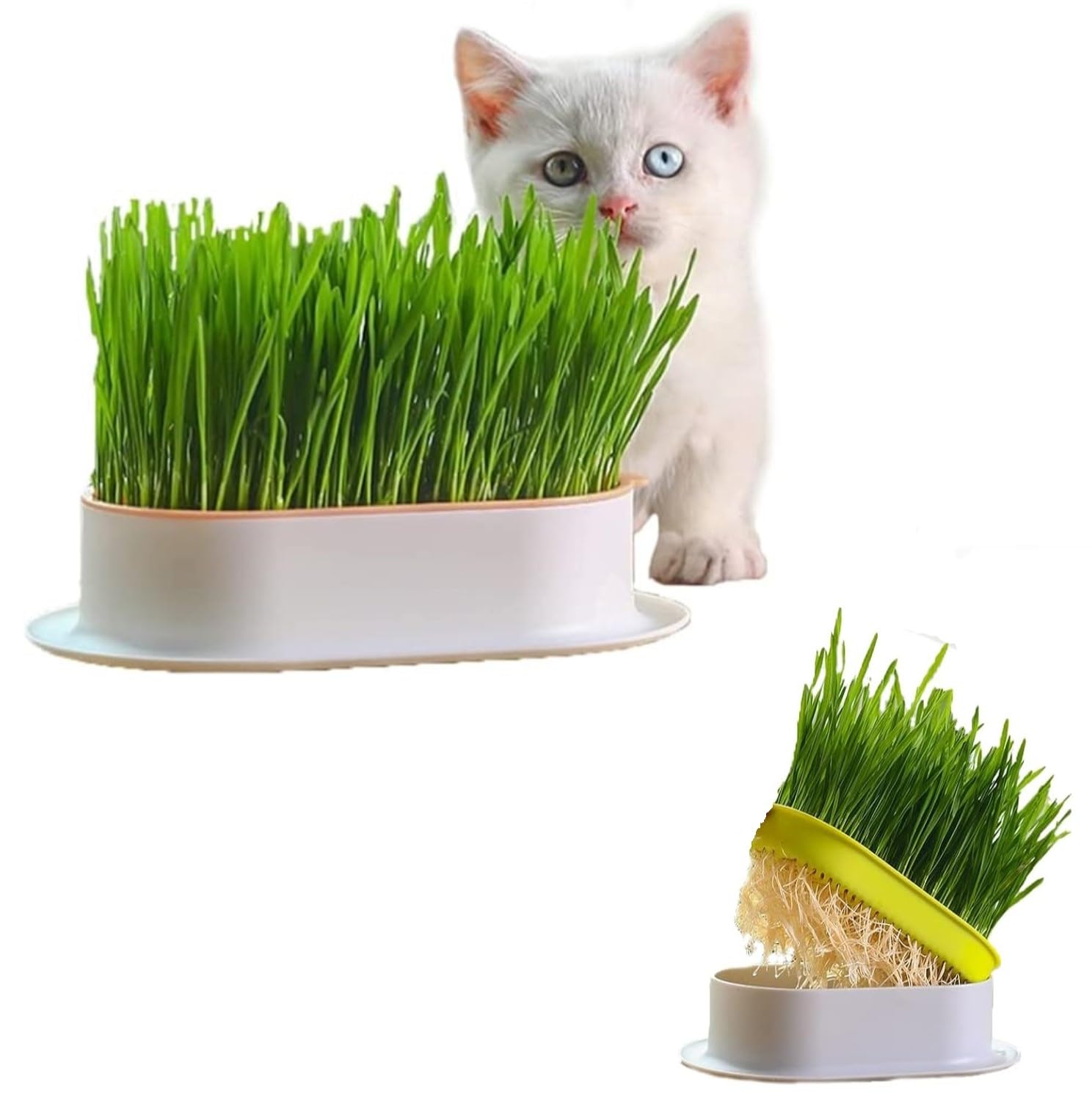 TİNEKE Özel Plastik Kâseli 0 Doğal Fileli Kedi Çimi (tüy Yumağı Önleyici)