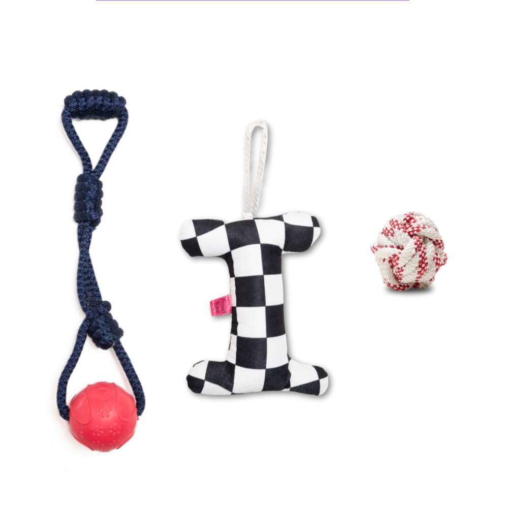 Proud Wave Üçlü Set Köpek Oyuncağı Plastik Eğitim Topu Çekiştirmeli İp Oyuncak Köpek Toplu Eğitim İpi (LACİVERT)