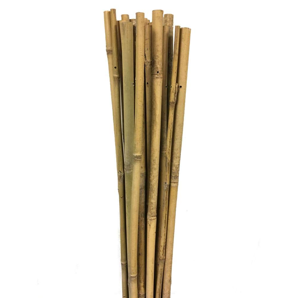 Gardener 63713 Bambu Destek Çubuğu 10'Lu - 10-12 Mm X 120 Cm