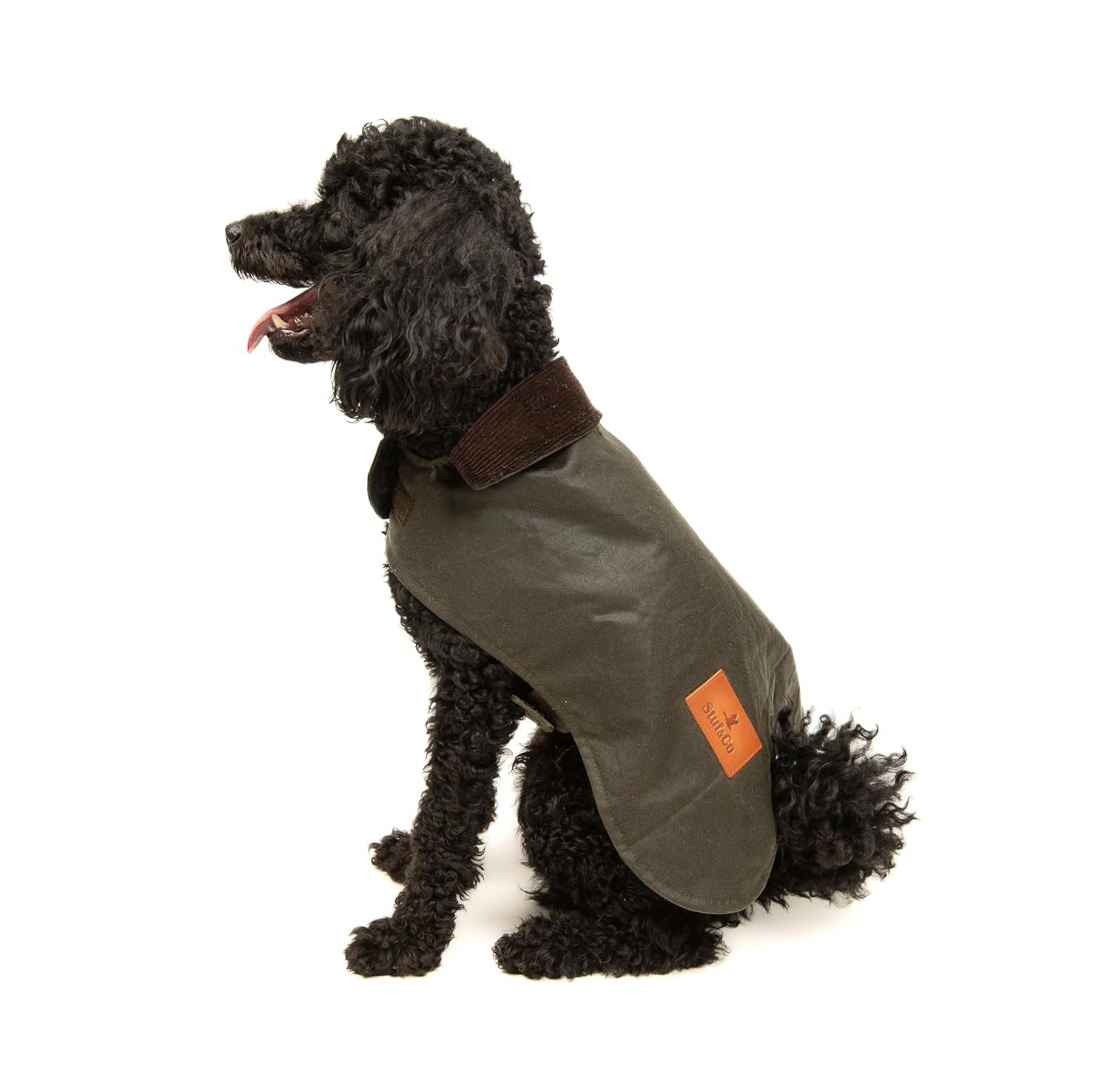 Stuf&Co Köpek Montu, Su ve Rüzgar Geçirmez, İthal Waxed Cotton Kumaştan Üretilmiş (Yeşil,) (Small)