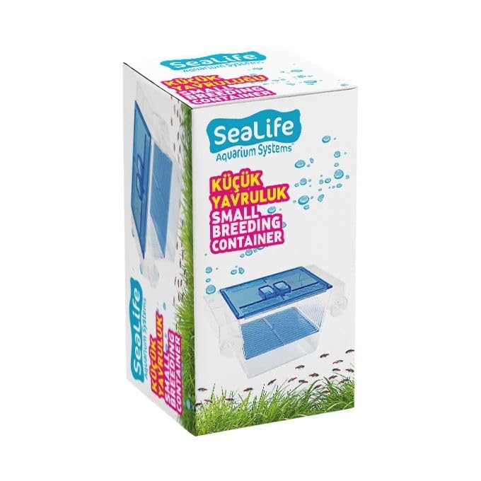 Tekli Küçük Balık Yavruluk