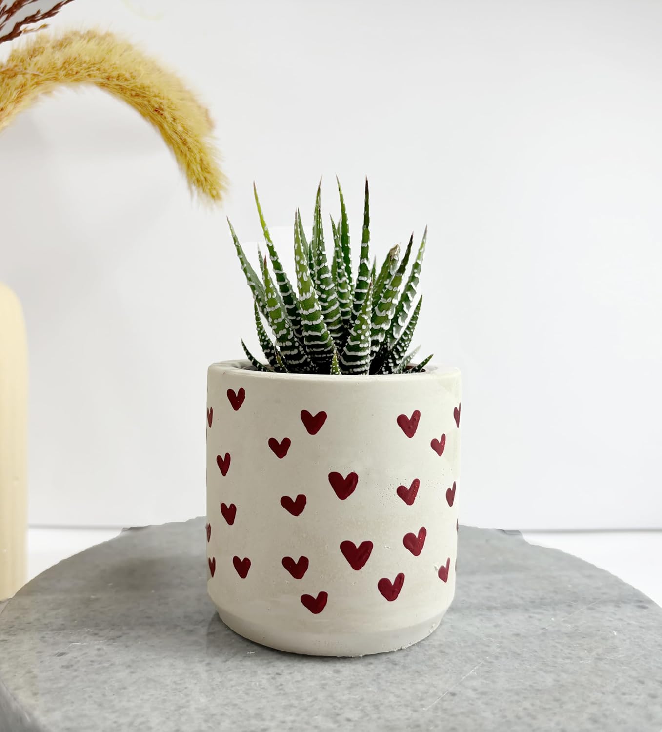 canlı çiçek dekoratif saksı