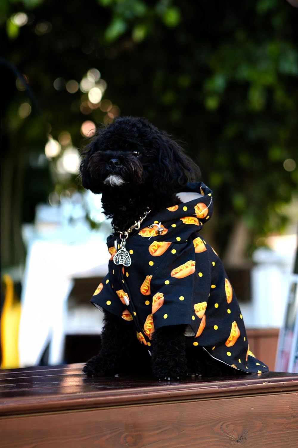 Verlina Sosisli Desenli Köpek Yağmurluğu Siyah S