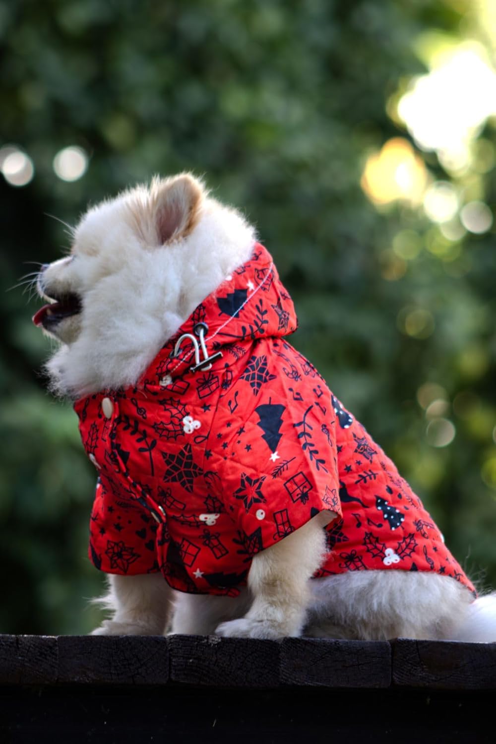 Verlina Yılbaşına Özel Kırmızı Köpek Montu - Rahat Köpek Kıyafeti Kırmızı L
