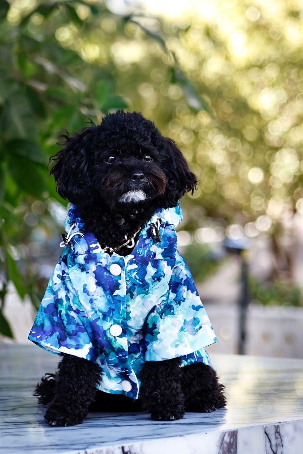 Verlina Kamuflaj Desenli Köpek Montu - Rahat Köpek Kıyafeti mavi L