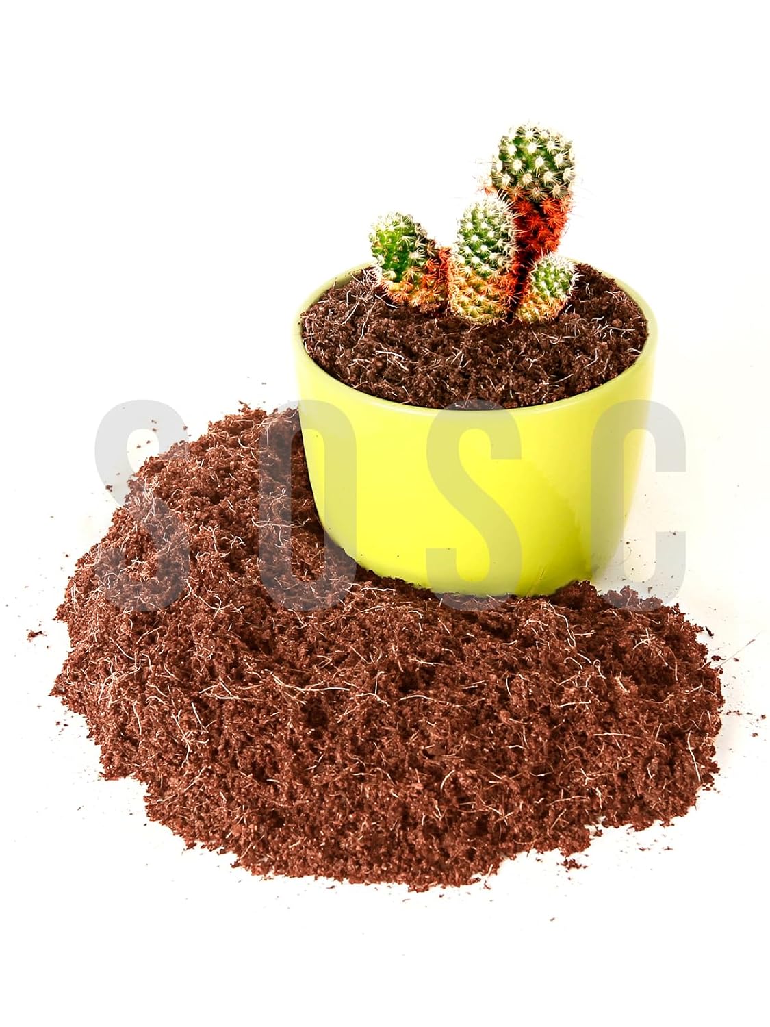 Hindistan Cevizi Torfu%100 Doğal Torf - Cocopeat Hindistan Cevizi Lifi - Doğal Bitki Toprağı 3 Lt