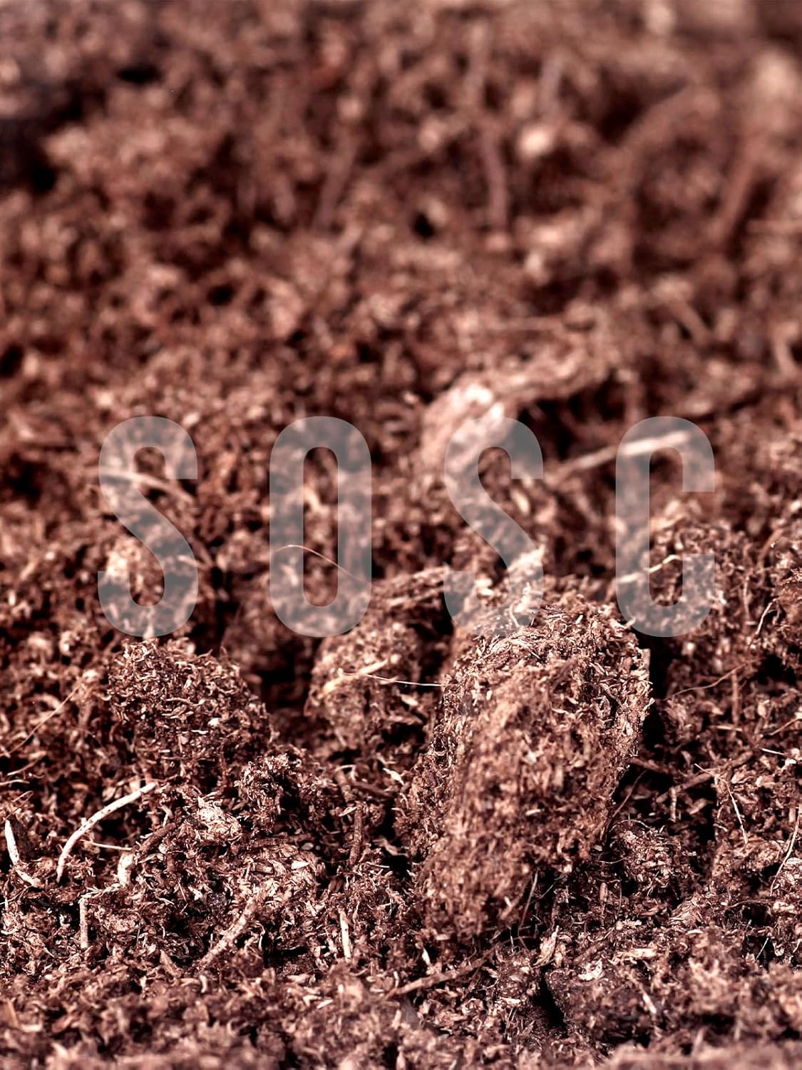 İthal Sphagnum Bitki Yetiştirme Torfu - Böcek Sinek Yapmaz Premium Kalite 3 Lt