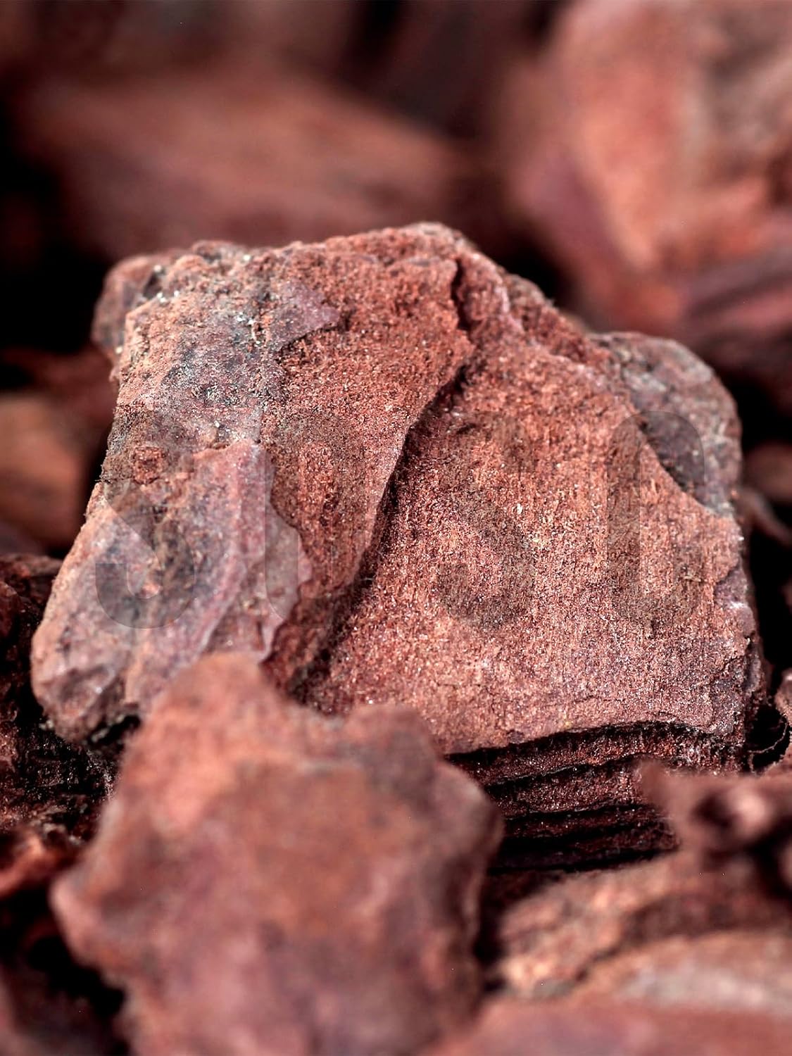 Dekoratif Ithal Çam Kabuğu 10-20 Mm 5 Litre