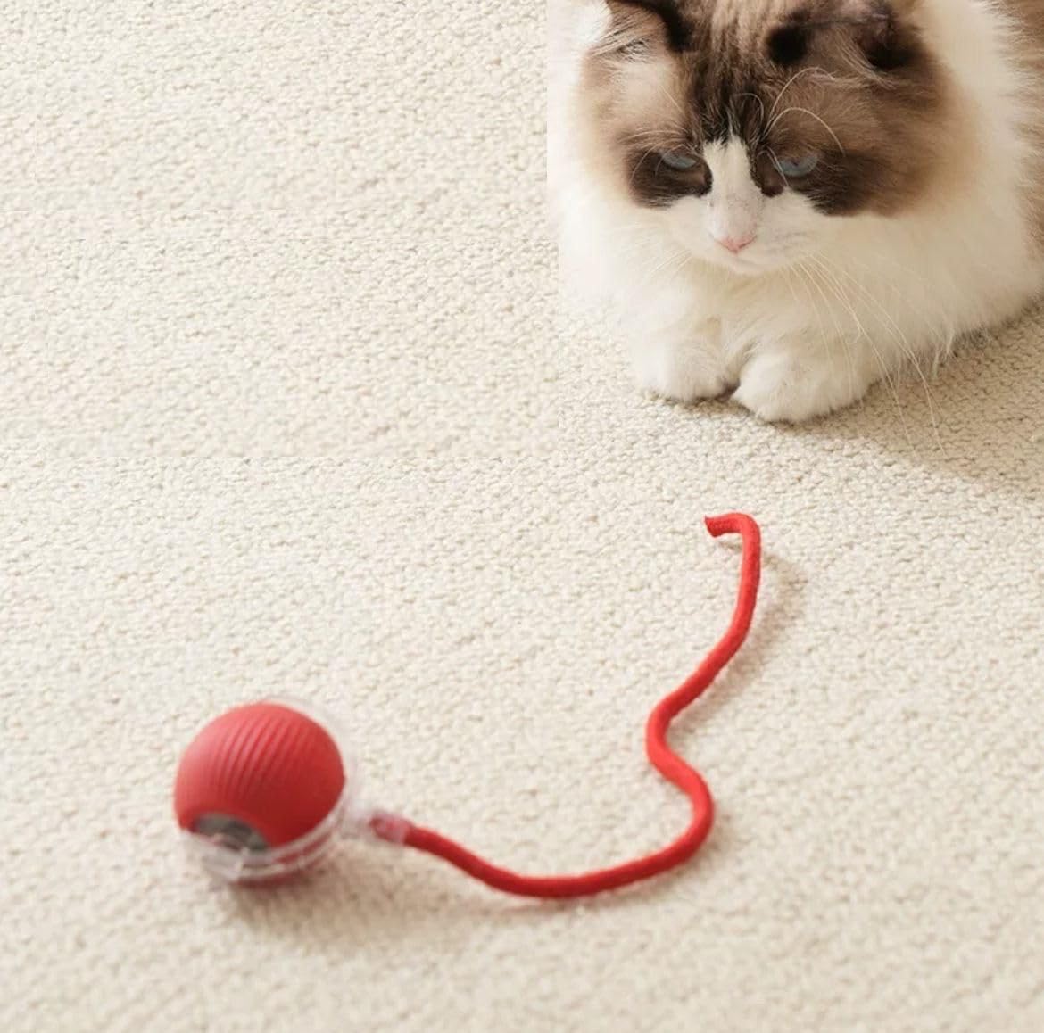 Şarjlı Kendinden Hareketli Kedi Köpek Oyun Topu – 360° Dönen İnteraktif Akıllı Oyuncak