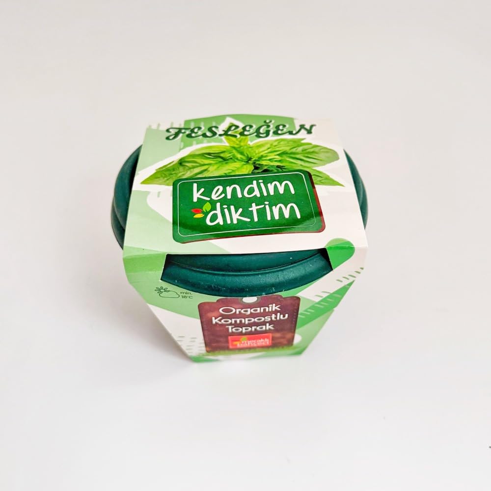 Meraklı Bahçeci - Kendim Diktim Mini Saksıda Fidelik Dikim Seti - Fesleğen