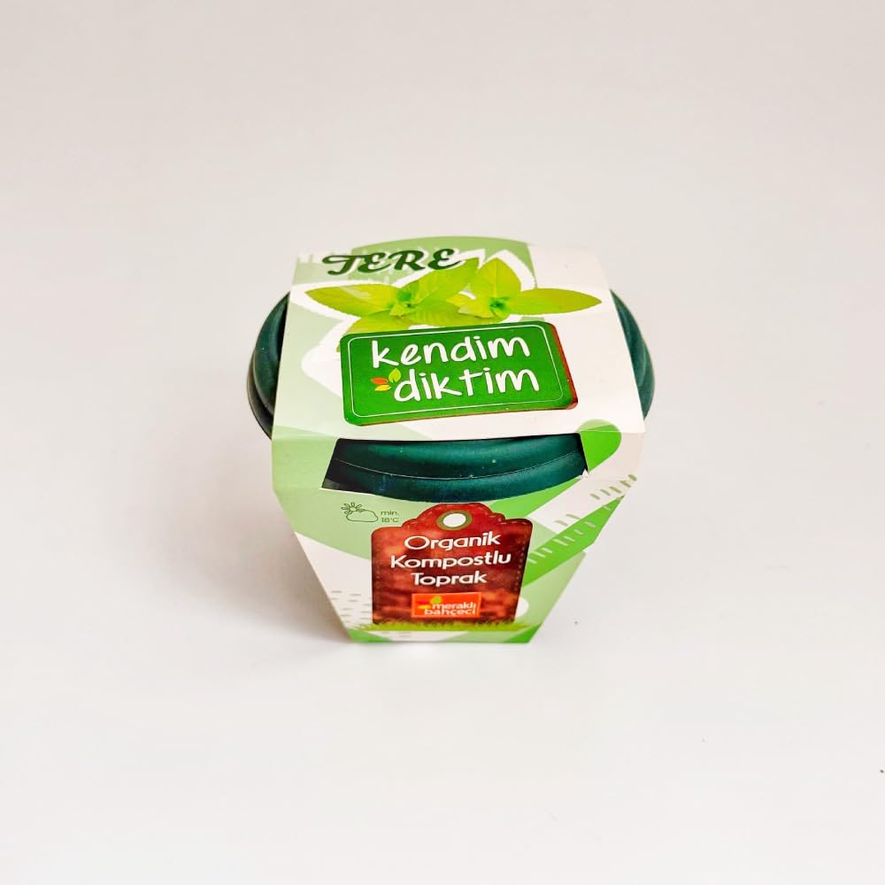 Meraklı Bahçeci - Kendim Diktim Mini Saksıda Fidelik Dikim Seti - Tere