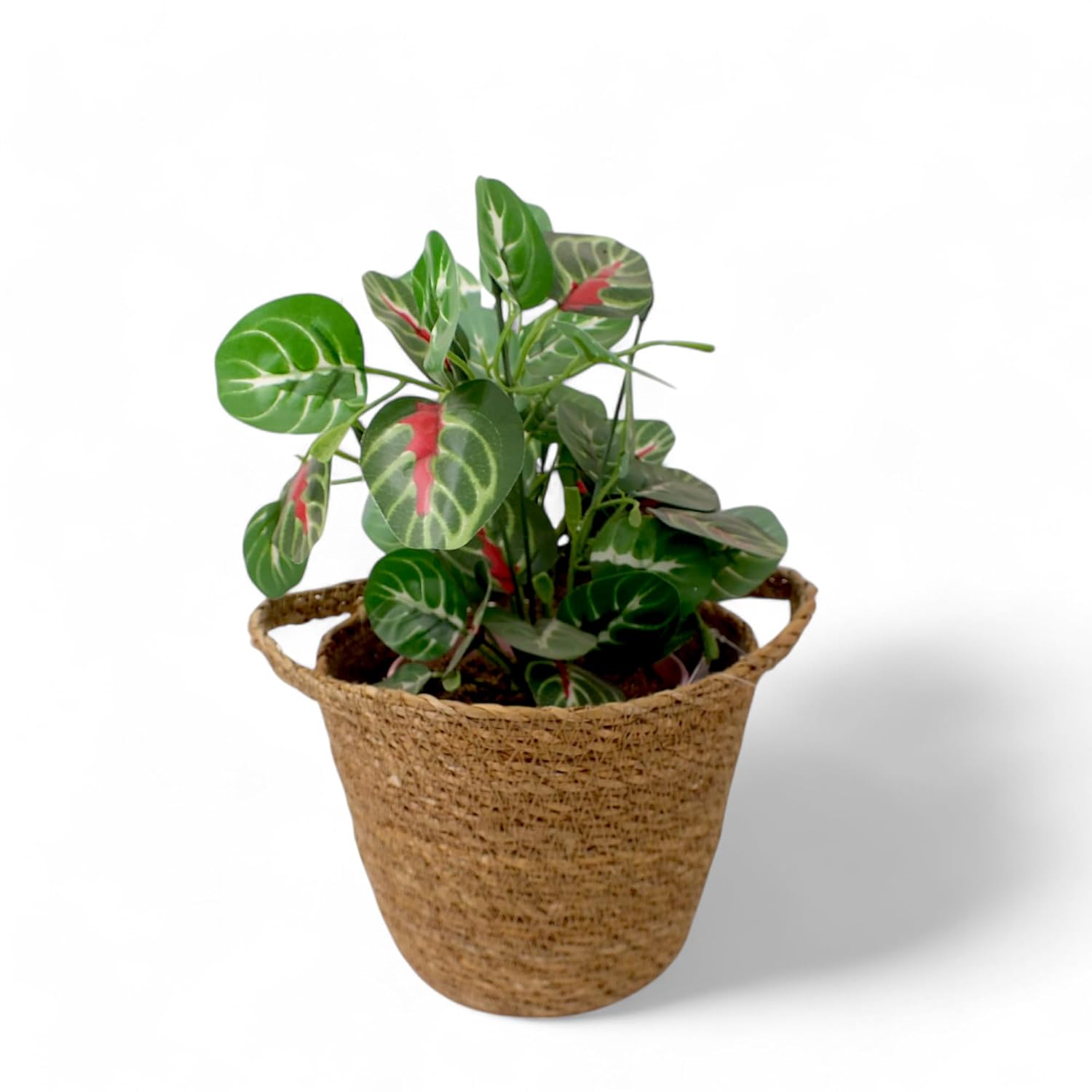 Ova Balkon Saksı Tabaklı 3 Adet, 3.5 Litre Yeşil