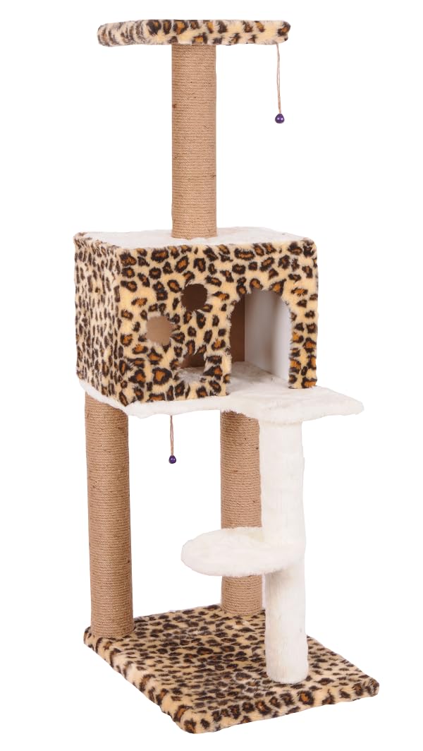 Mio Kedi Tırmalama, Nemrut, Leopar