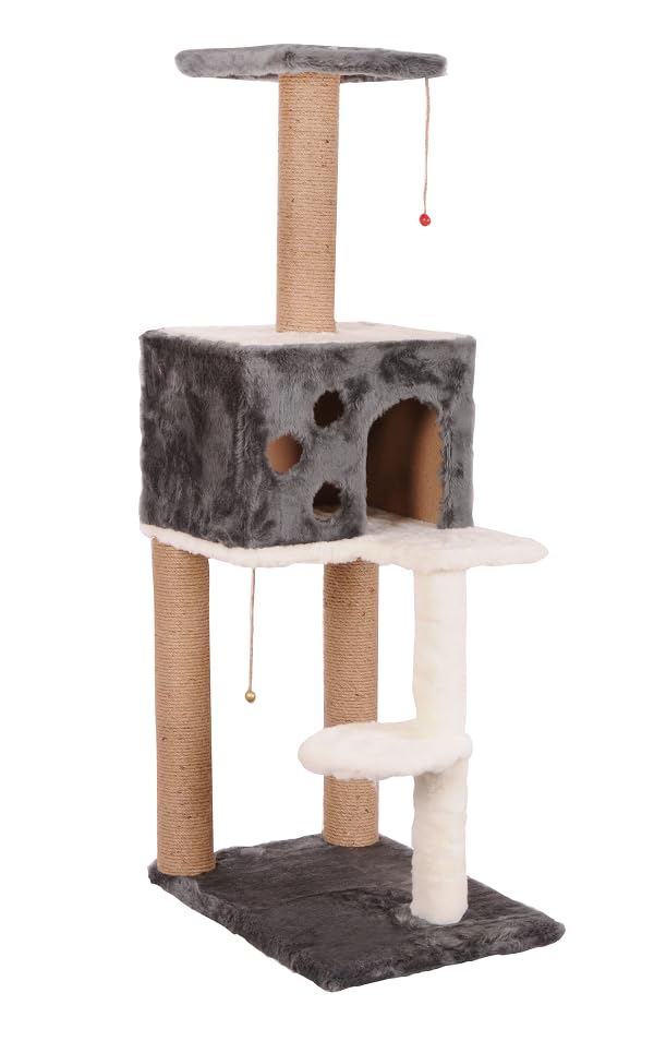 Mio Kedi Tırmalama, Nemrut, Gri