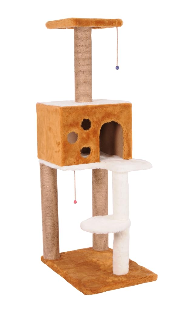 Mio Kedi Tırmalama, Nemrut, Kahverengi