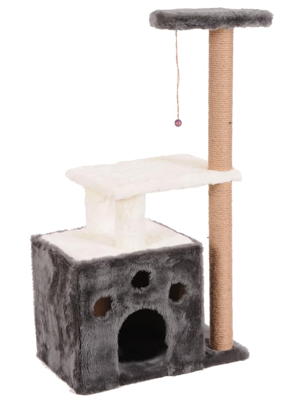 Mio Kedi Tırmalama, Gordion, Gri