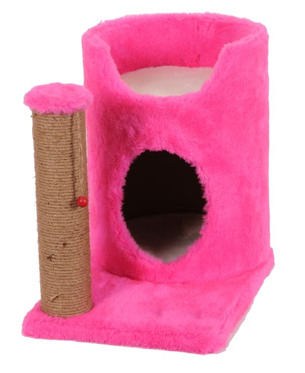 Mio Kedi Tırmalama, Ihlara, Pembe