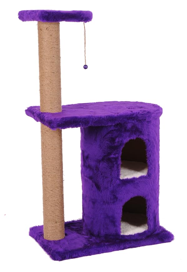 Mio Kedi Tırmalama, Myra, Mor